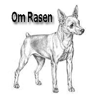 rasstandard